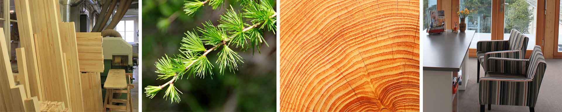 Bilder von der Werkstatt, einem Baum, einem Querschnitt und von der Tischlerei Nöpel im Beratungsraum