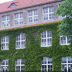 Bild von einem Gebäude mit sehr vielen Fenstern